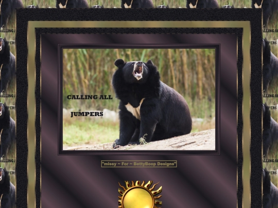 Bears/pg4 screenshot