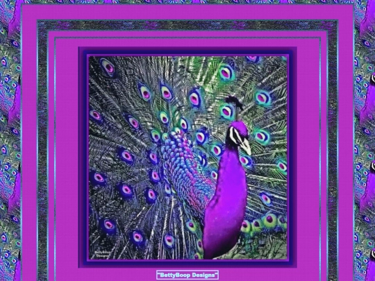 Birds/Birds-13 screenshot