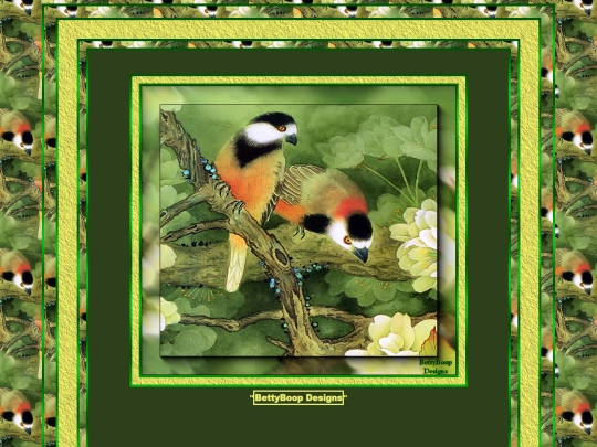 Birds/Birds-4 screenshot
