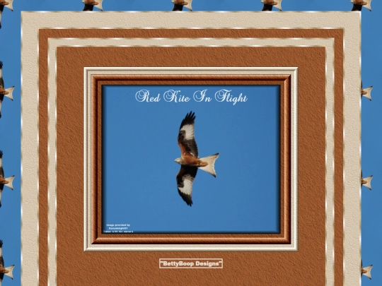 Birds/pg12 screenshot