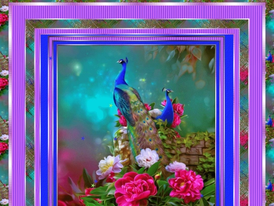 Birds/pg23 screenshot