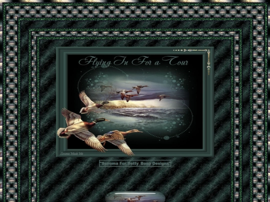 Birds/pg42 screenshot