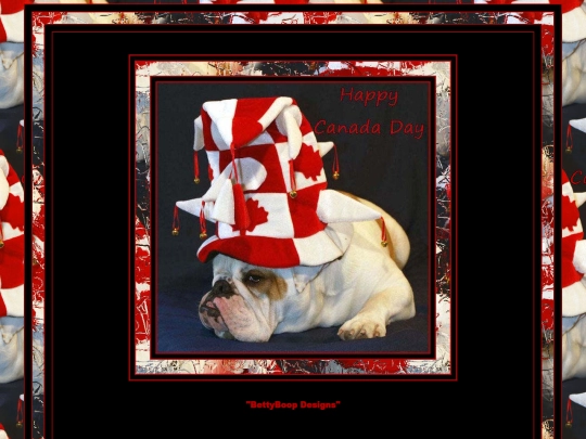 CanadaDay/Canadaday-7 screenshot