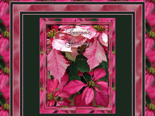 Christmas/pg13 screenshot