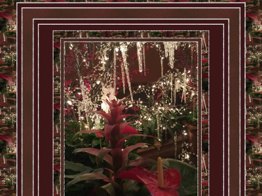 Christmas/pg14 screenshot
