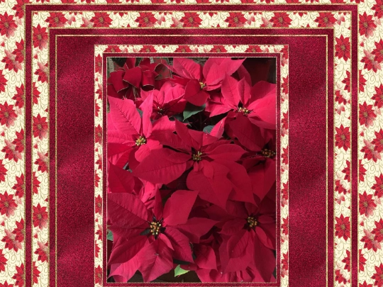 Christmas/pg19 screenshot