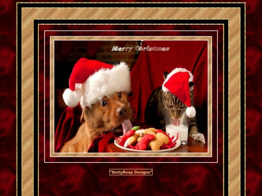 Christmas/pg7 screenshot