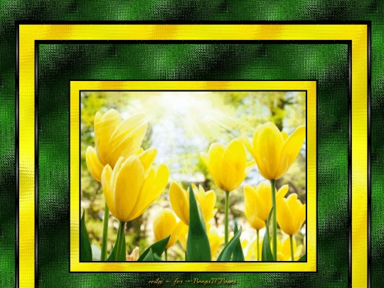 Colors/Yellow/pg3 screenshot