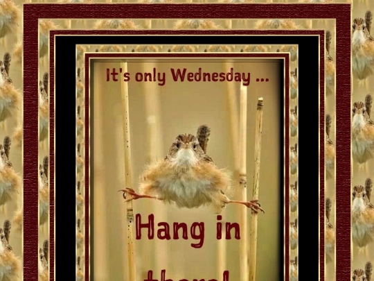 DaysOfWeek/Wednesday/pg1 screenshot