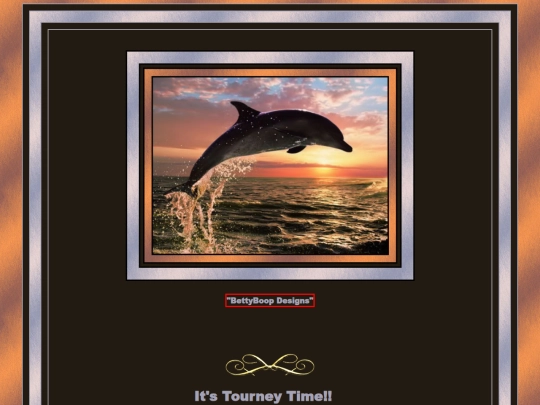 Dolphins/Dolphin-8 screenshot