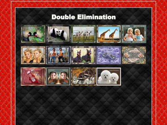 DoubleElimination/DoubleElimination screenshot