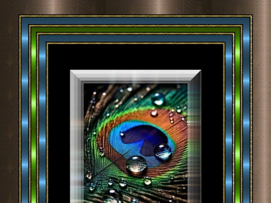 Feathers/pg4 screenshot
