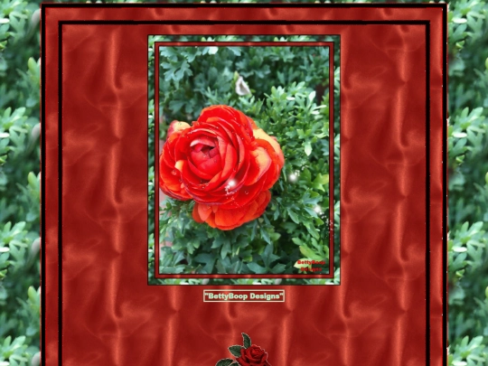 Flowers/Flowers-15 screenshot