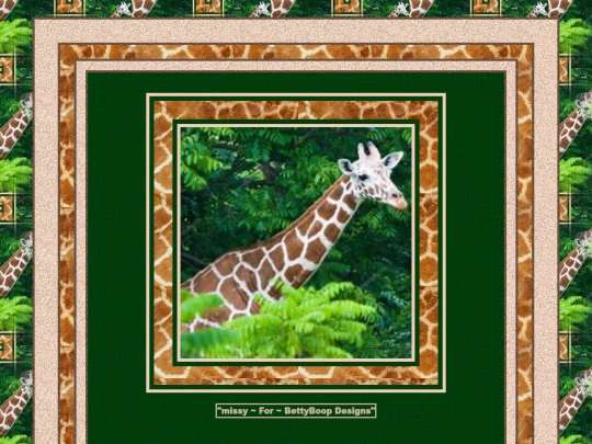 Giraffes/pg5 screenshot