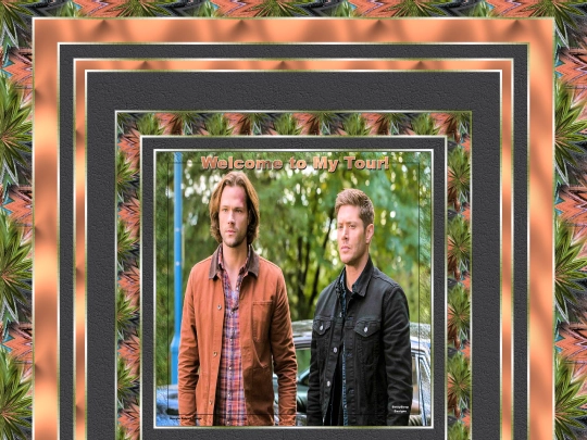 HOSTS/ALeagueOfTheirOwn/pg22 screenshot