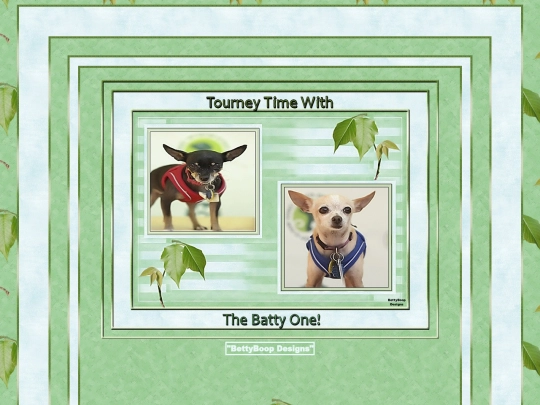 HOSTS/BattyOne/pg1 screenshot