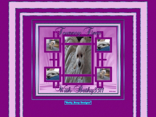 HOSTS/Bethy3311/pg1 screenshot