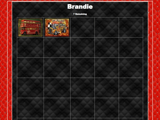 HOSTS/Brandie/Brandie screenshot