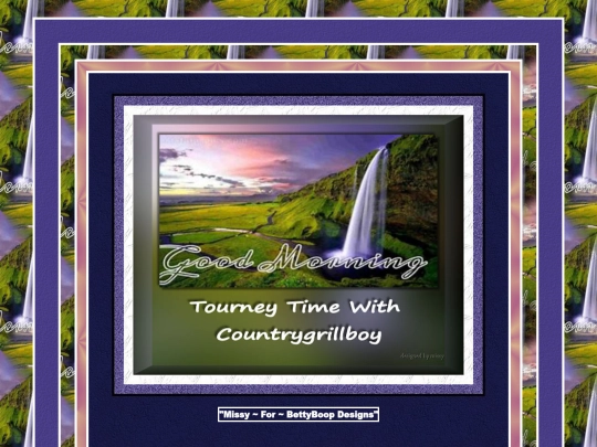 HOSTS/Countrygrillboy/pg4 screenshot