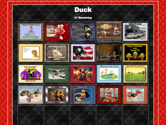 HOSTS/Duck/Duck screenshot