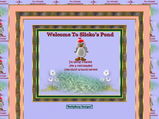 HOSTS/Duck/pg1 screenshot