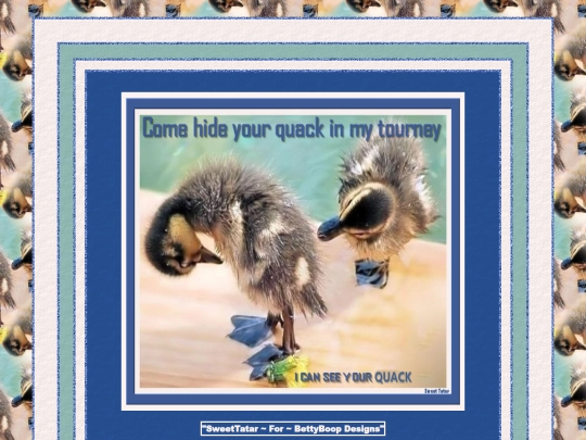 HOSTS/Duck/pg18 screenshot