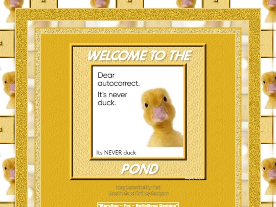 HOSTS/Duck/pg6 screenshot