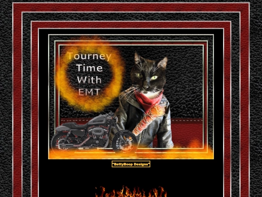 HOSTS/Emtff087980/pg6 screenshot