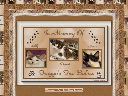 HOSTS/FROGO/pg24 screenshot