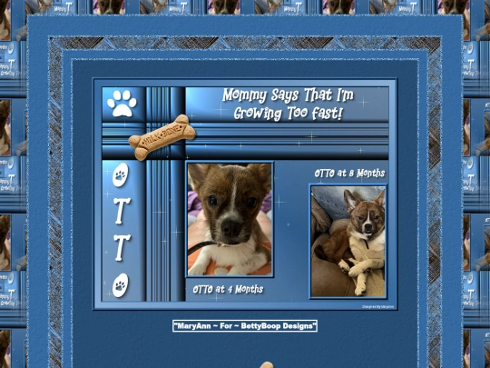 HOSTS/FROGO/pg42 screenshot