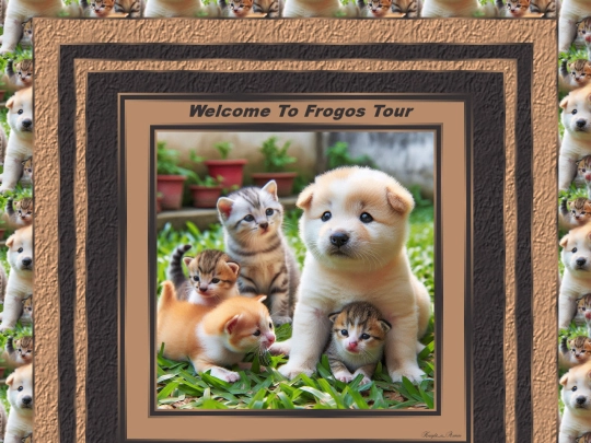 HOSTS/FROGO/pg56 screenshot