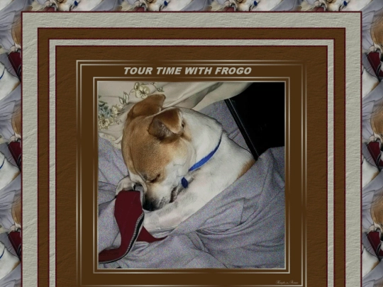 HOSTS/FROGO/pg60 screenshot