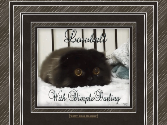 HOSTS/FunForAll/DimpleDarling/DimpleDarling-6 screenshot