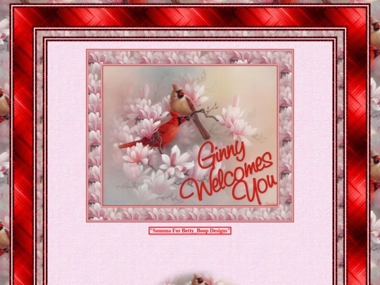 HOSTS/Ginny_/pg4 screenshot