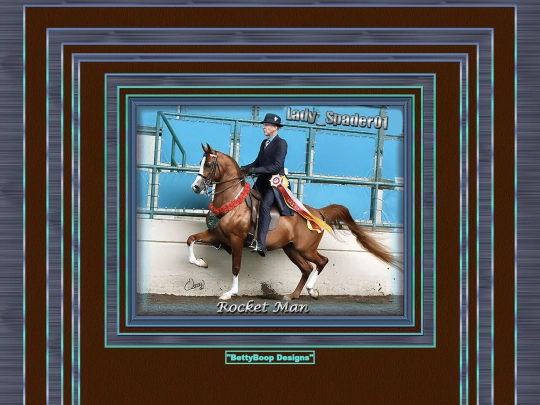 HOSTS/Lady_Spader01/pg7 screenshot