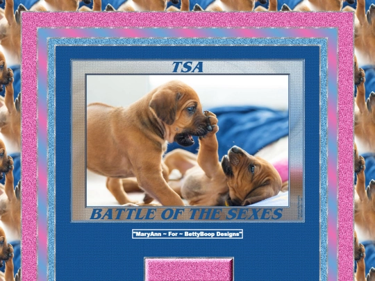 HOSTS/Leagues/TSA/pg11 screenshot