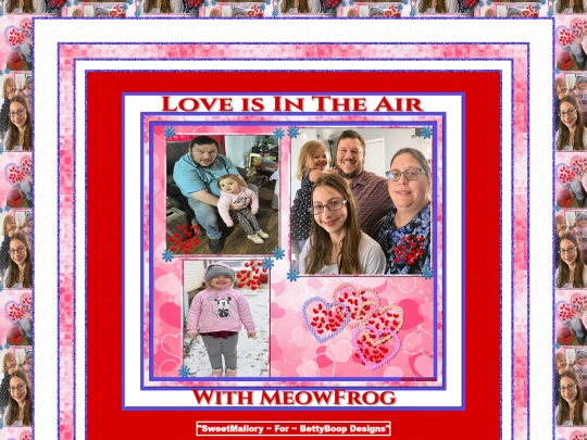 HOSTS/MeowFrog/pg3 screenshot