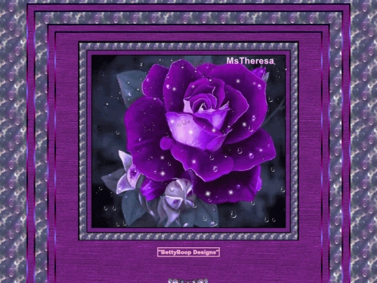 HOSTS/MsTheresa/pg13 screenshot