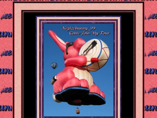 HOSTS/Nrgizebunny_99/pg3 screenshot