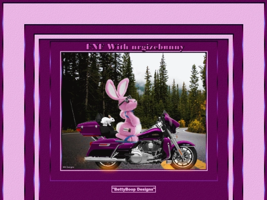 HOSTS/Nrgizebunny_99/pg57 screenshot