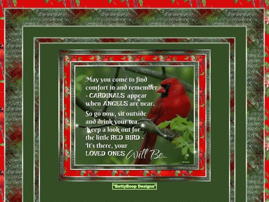 HOSTS/Nrgizebunny_99/pg62 screenshot