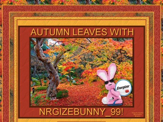 HOSTS/Nrgizebunny_99/pg82 screenshot