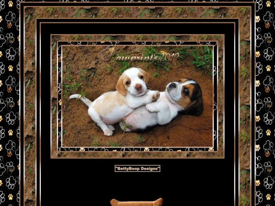 HOSTS/Pawprints2019/pg1 screenshot