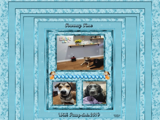 HOSTS/Pawprints2019/pg10 screenshot
