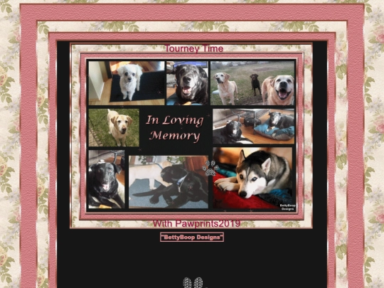 HOSTS/Pawprints2019/pg11 screenshot