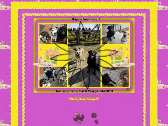 HOSTS/Pawprints2019/pg13 screenshot