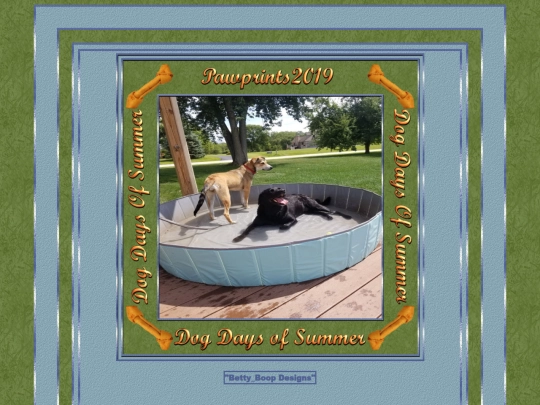 HOSTS/Pawprints2019/pg14 screenshot