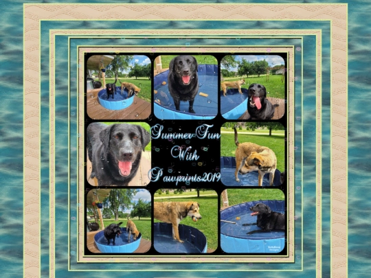 HOSTS/Pawprints2019/pg15 screenshot