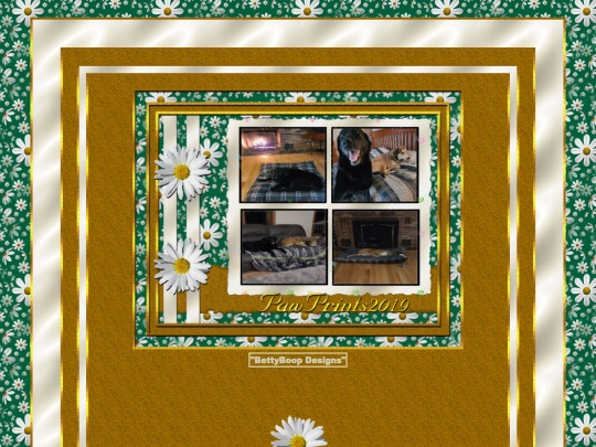 HOSTS/Pawprints2019/pg19 screenshot