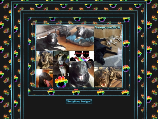 HOSTS/Pawprints2019/pg2 screenshot